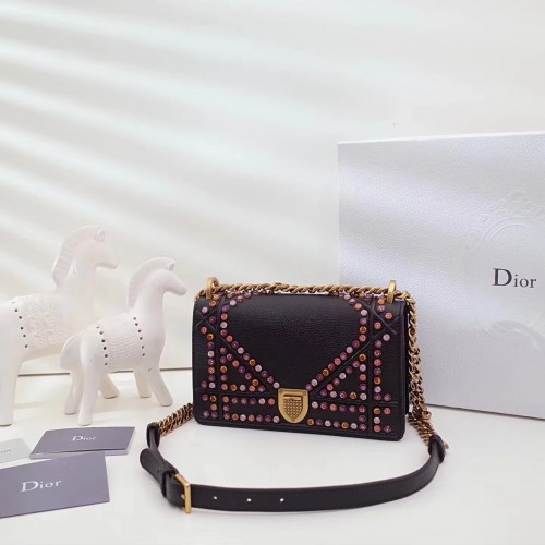 Dior Bag 016